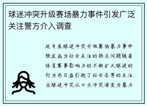 球迷冲突升级赛场暴力事件引发广泛关注警方介入调查